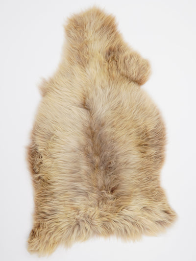 B-luokan monivärinen lampaantalja L