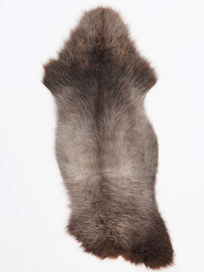 B-luokan monivärinen lampaantalja L