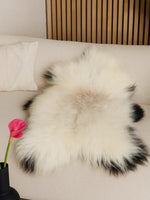 Islannin lampaantalja "Golsótt"