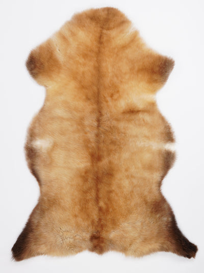 B-luokan monivärinen lampaantalja XL