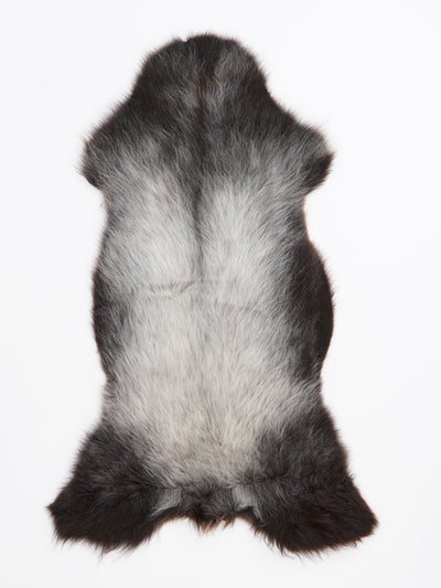 B-luokan monivärinen lampaantalja M