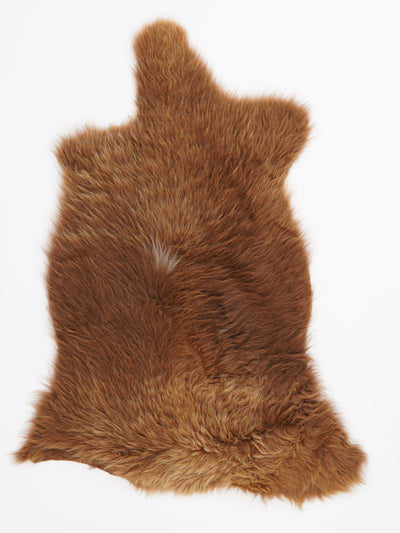 B-luokan monivärinen lampaantalja L