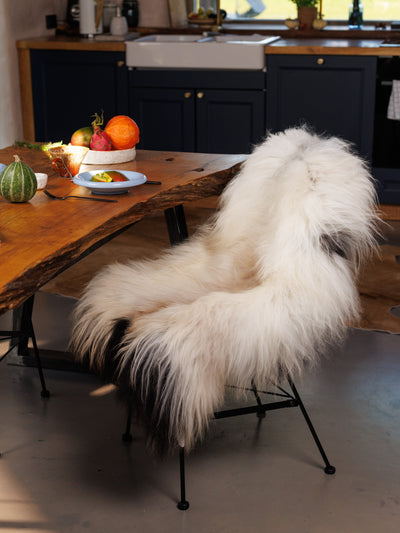 Islannin lampaantalja "Golsótt"