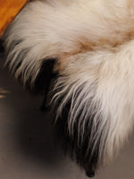 Islannin lampaantalja "Golsótt"