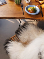 Islannin lampaantalja "Golsótt"