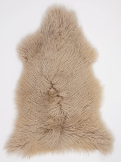 B-luokan Taupe lampaantalja L