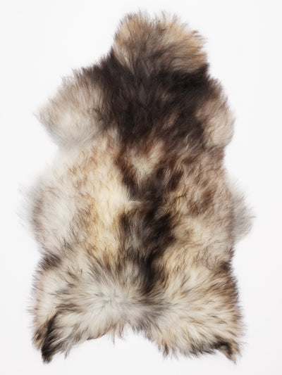 Harmaa islannin lampaantalja XL