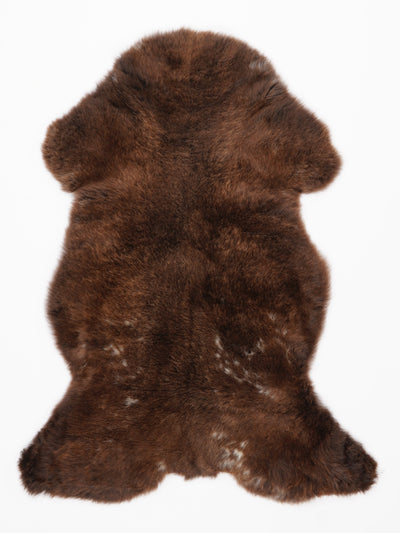 Monivärinen lampaantalja L