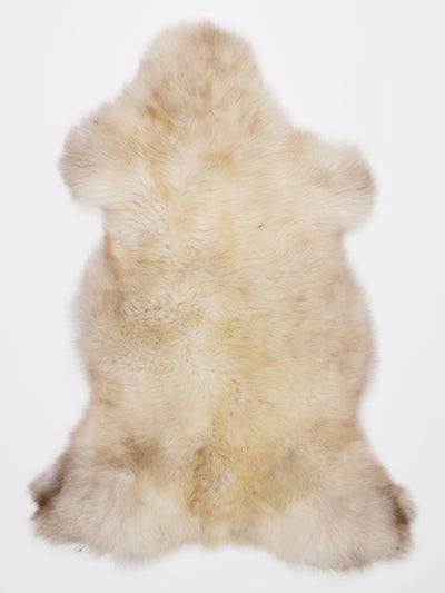 Monivärinen lampaantalja L