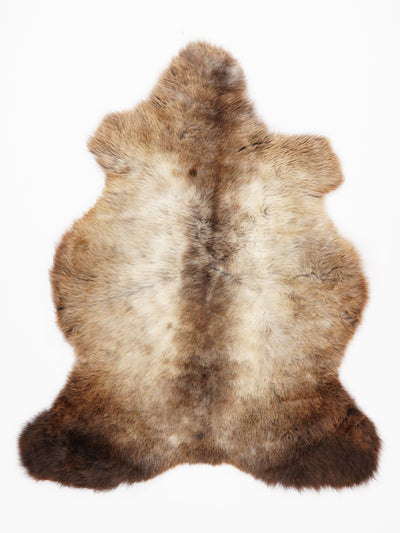 Monivärinen lampaantalja M