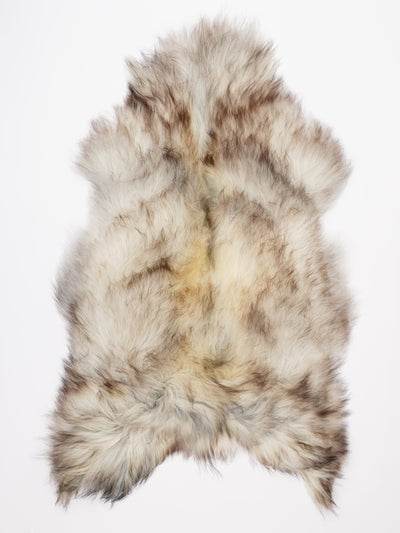 Islannin lampaantalja XXL