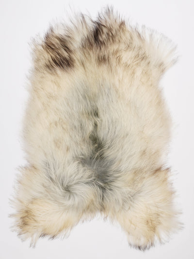 Islannin lampaantalja XL