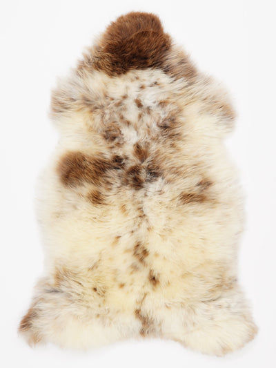 Monivärinen lampaantalja L