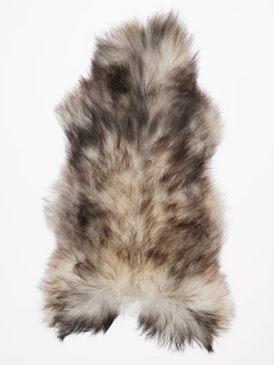 Harmaa islannin lampaantalja XL