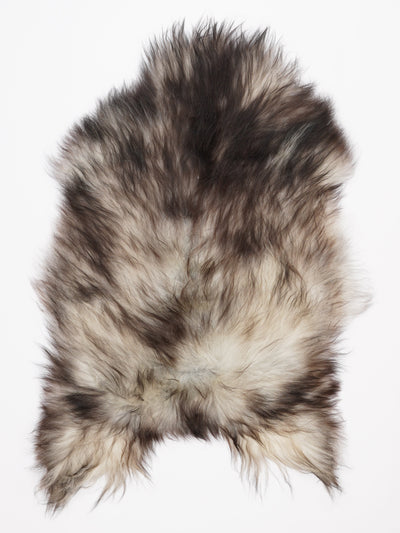 Harmaa islannin lampaantalja XL