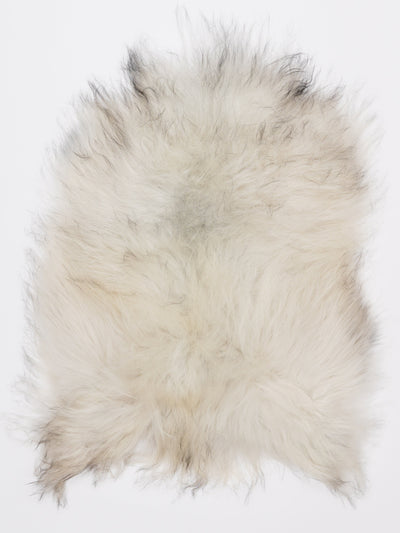 Islannin lampaantalja S