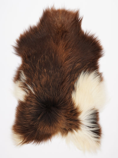 Islannin lampaantalja XXL