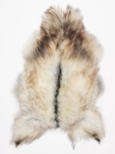 Islannin lampaantalja XL