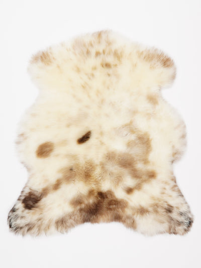 Monivärinen lampaantalja S