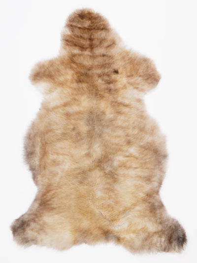 Monivärinen lampaantalja L