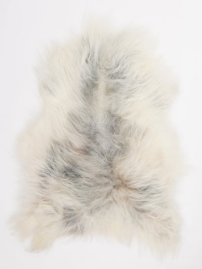 Islannin lampaantalja L