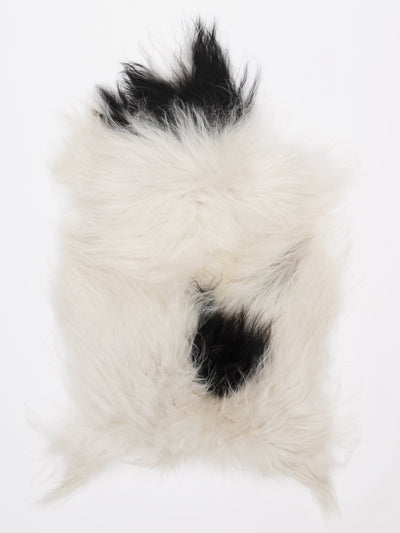 Islannin lampaantalja M