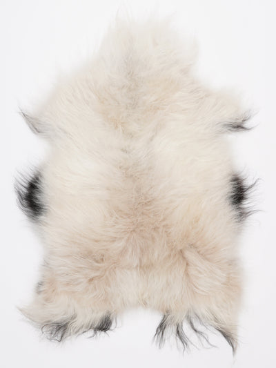 Islannin lampaantalja M