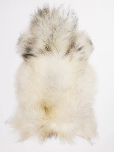 Islannin lampaantalja XL