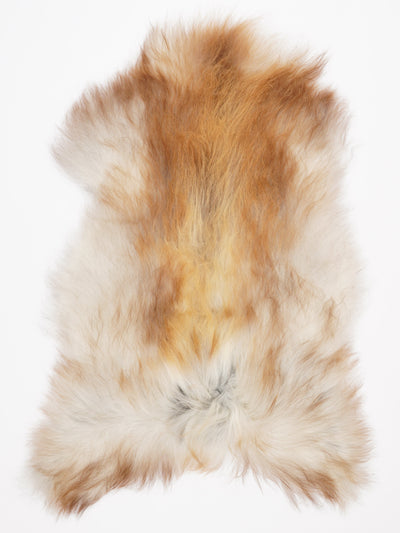 Islannin lampaantalja XXL