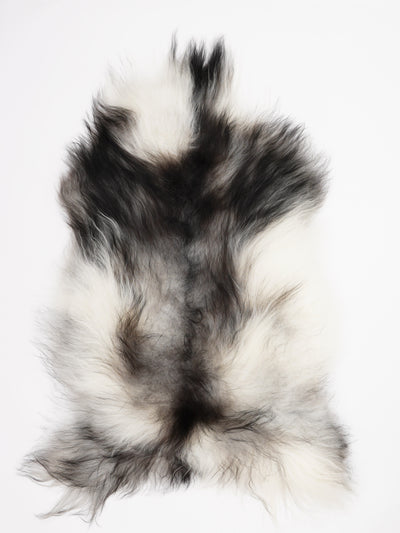 Islannin lampaantalja XL