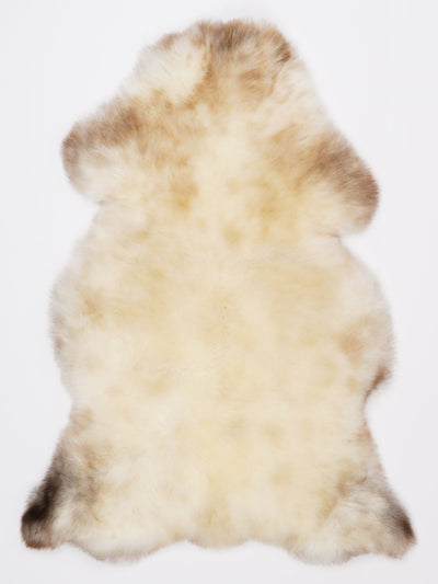 Monivärinen lampaantalja L