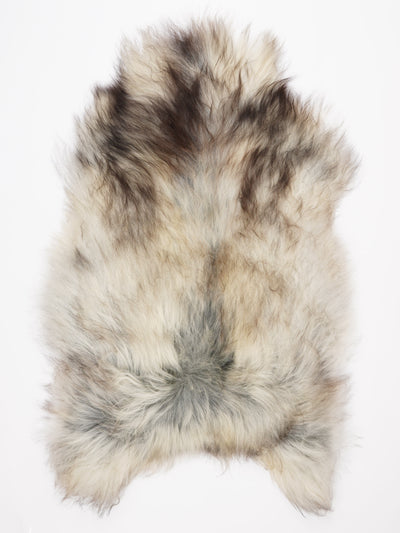 Islannin lampaantalja XXXL