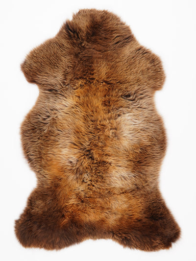 Monivärinen lampaantalja L