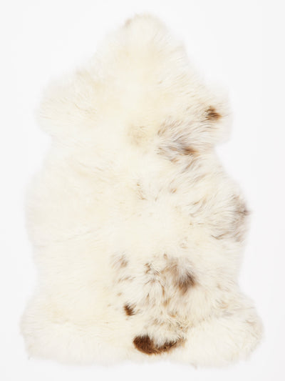 Monivärinen lampaantalja L