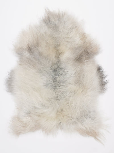 Islannin lampaantalja M