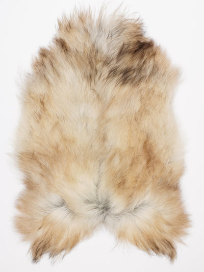 Islannin lampaantalja XL