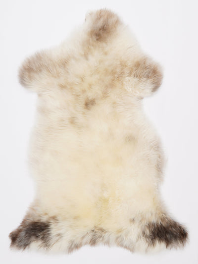 Monivärinen lampaantalja L