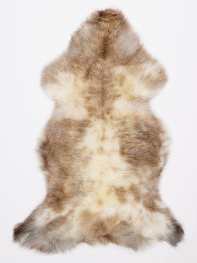 Monivärinen lampaantalja L