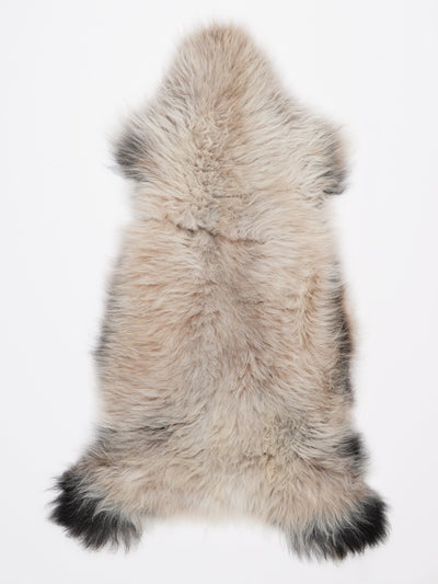 Monivärinen lampaantalja L