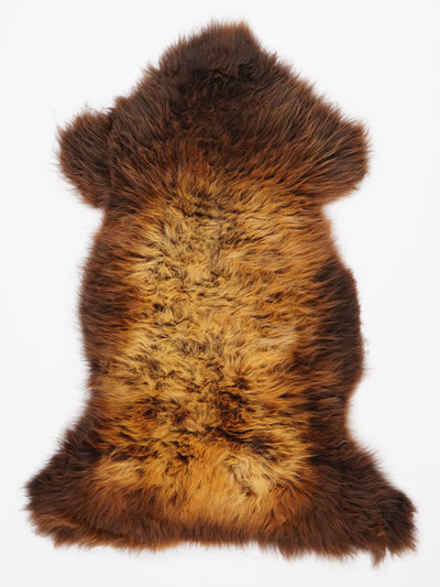 "Rusty" Monivärinen lampaantalja XL