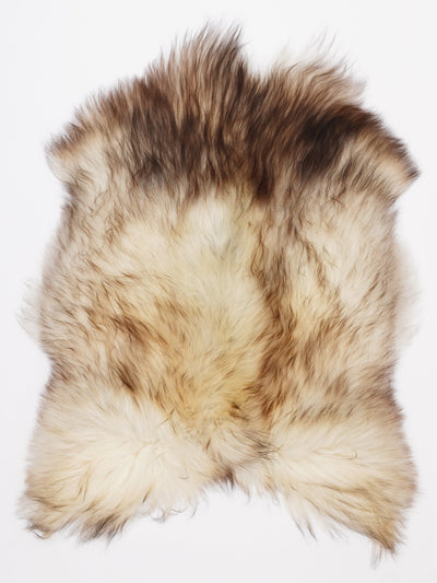 Islannin lampaantalja M