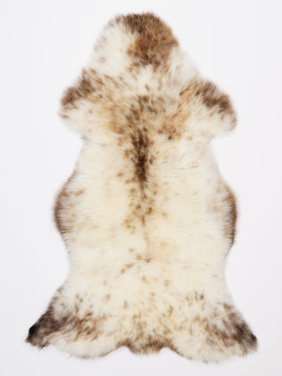 Monivärinen lampaantalja XL