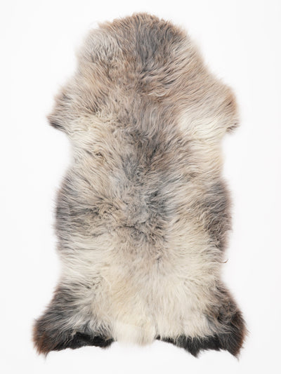 Monivärinen lampaantalja XXL