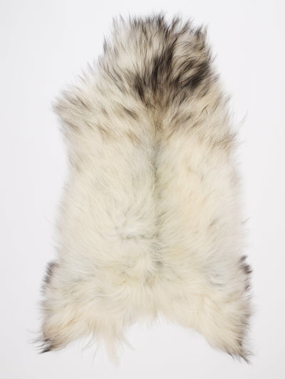 Islannin lampaantalja XL