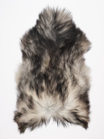 Harmaa islannin lampaantalja XXL